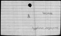 00193392.jpg