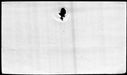 00194038.jpg