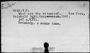 00194061.jpg