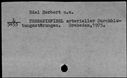 00194089.jpg