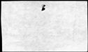 00416350.jpg