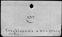 00416898.jpg