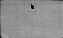 00194914.jpg