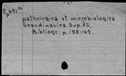 00194965.jpg