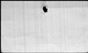 00195202.jpg