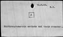 00195274.jpg