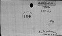 00195296.jpg