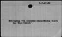 00195302.jpg