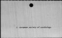 00195332.jpg