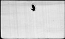 00195368.jpg