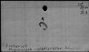 00195414.jpg