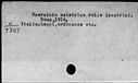 00195501.jpg