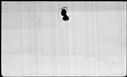 00195534.jpg