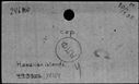 00195536.jpg