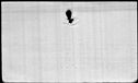 00195734.jpg