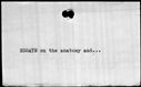 00195762.jpg