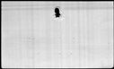 00195810.jpg