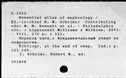 00195813.jpg