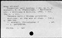 00195819.jpg