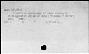 00195855.jpg