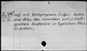 00195915.jpg