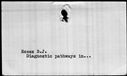 00195954.jpg