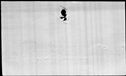 00196320.jpg