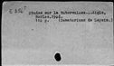 00196407.jpg