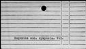 00196460.jpg