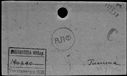 00196466.jpg