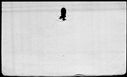 00196786.jpg