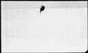 00196956.jpg