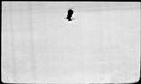 00197186.jpg