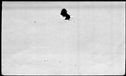 00419242.jpg