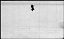 00419284.jpg