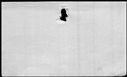 00419488.jpg