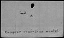 00419578.jpg