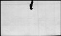 00420506.jpg