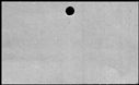 00421342.jpg