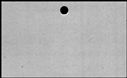 00421464.jpg