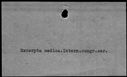 00421800.jpg