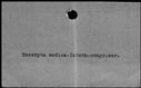 00421830.jpg