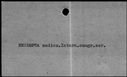 00421834.jpg