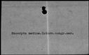 00421844.jpg