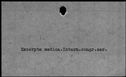 00421870.jpg
