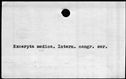 00421926.jpg