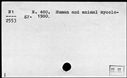00421937.jpg