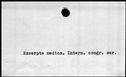 00421938.jpg