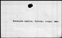 00421952.jpg