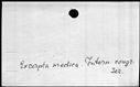 00421954.jpg